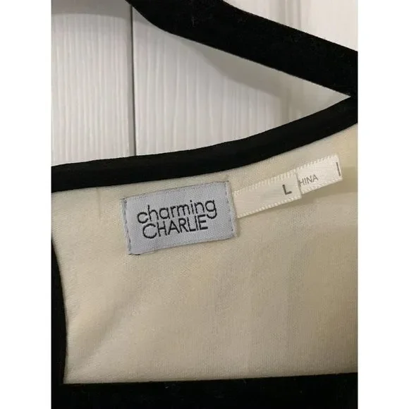 Charming Charlie Dress - Picture 5 of 5